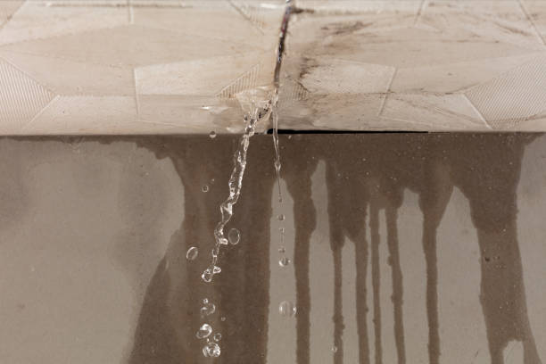 Professional Water Extraction technician working in Lamar, TX